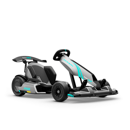 Segway GoKart Pro2