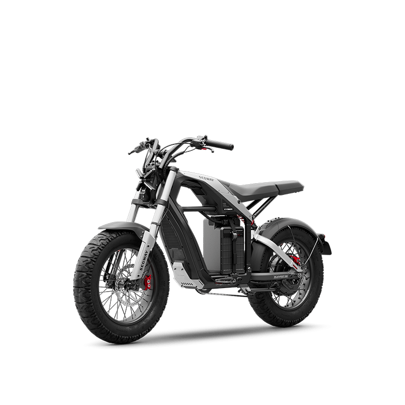 Segway Xyber Electric Bike